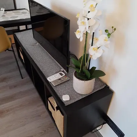 Appartement Ampio Monolocale Comodo A Servizi E Trasporti